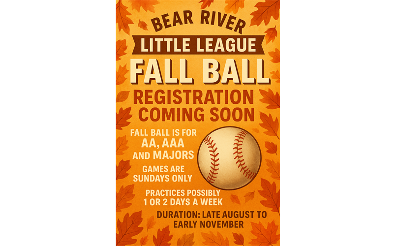 FALL BALL